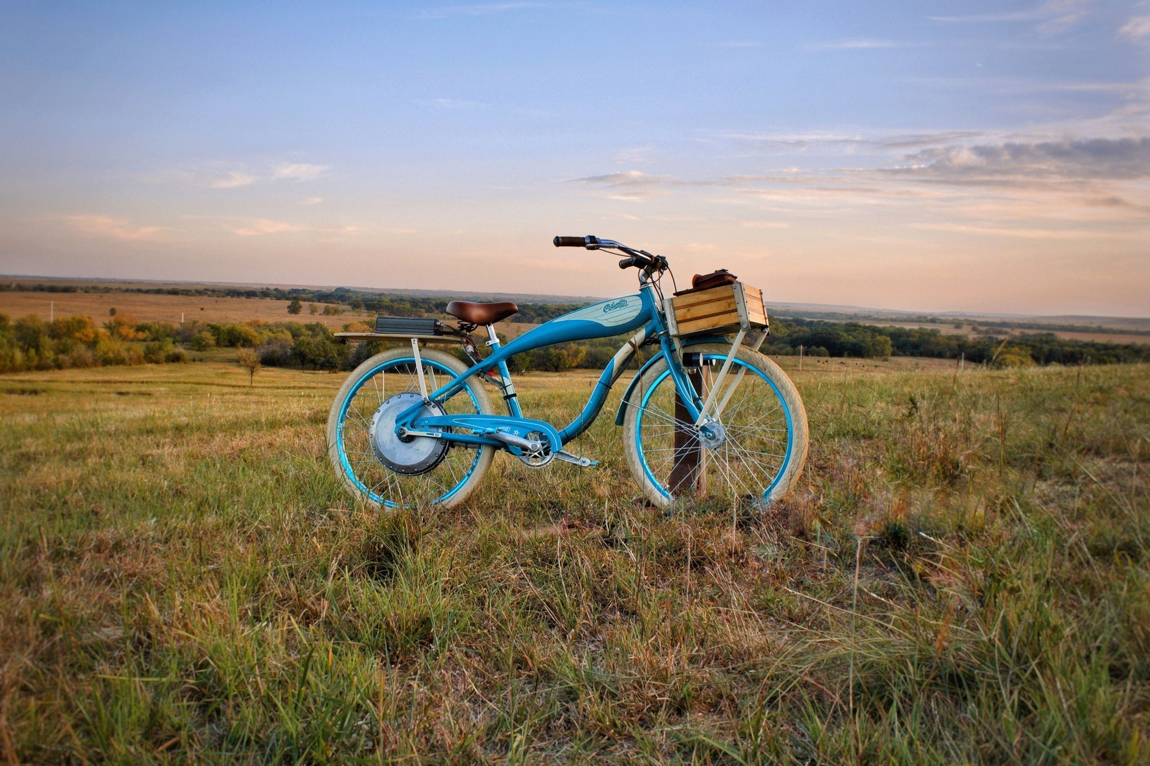 Kona brewing beach discount cruiser